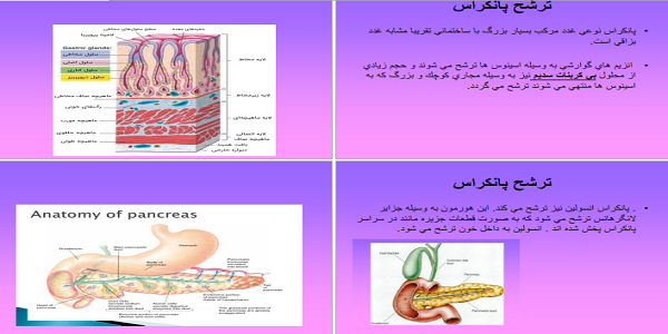 دانلود جزوه درس فیزیولوژی مهندسی پزشکی ویرایش جدید